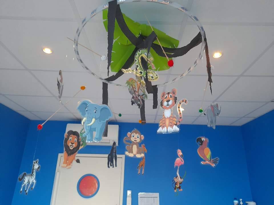 IMG-7006